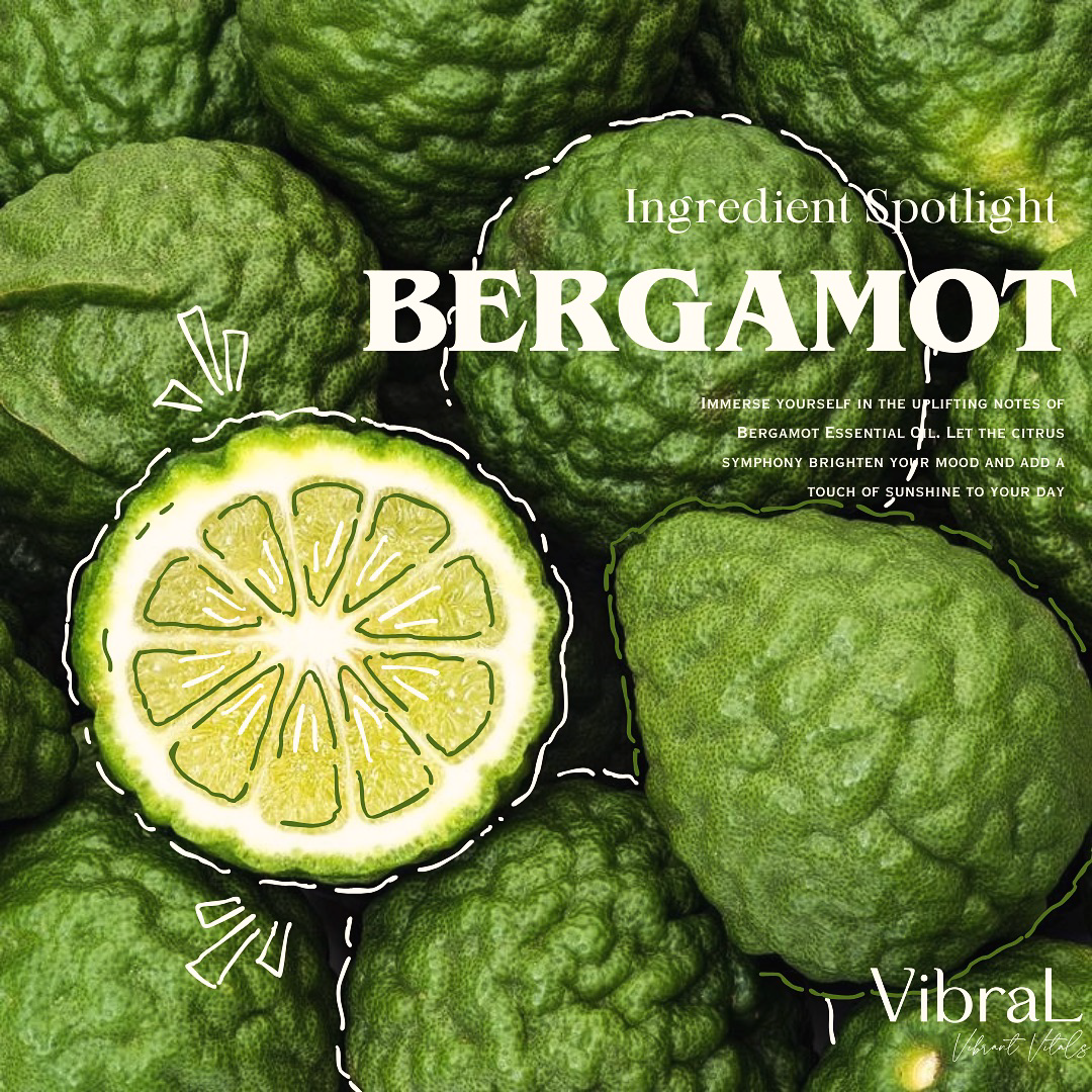 brand guidelines development